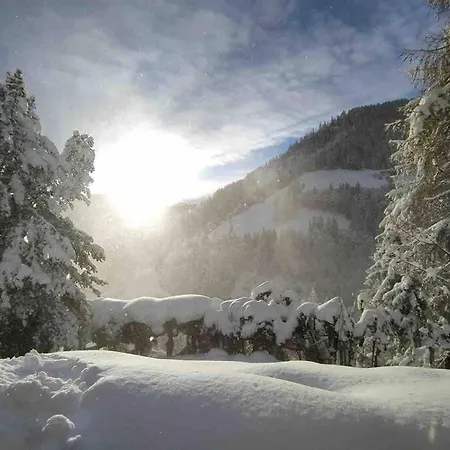La Voce Del Bosco * Selva di Cadore