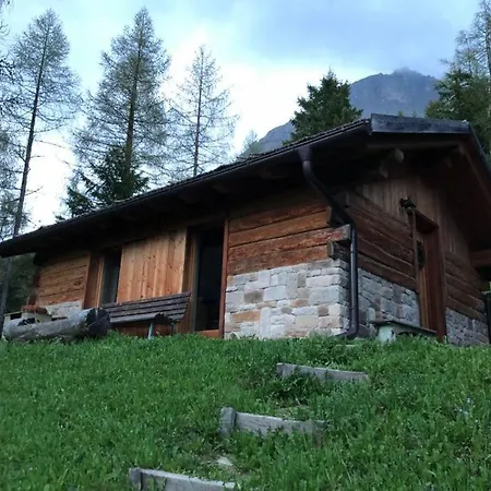 La Voce Del Bosco * Selva di Cadore